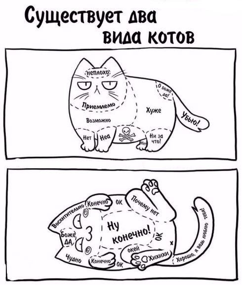 Image Hosted by PiXS.ru