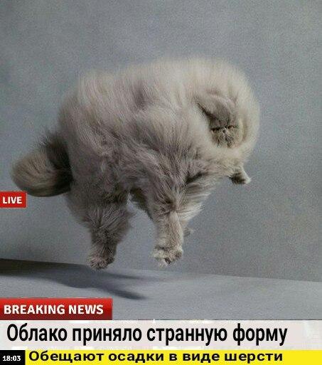 Image Hosted by PiXS.ru