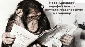 d3d116c6fbbb8b21cad622fc48abdee5.jpg