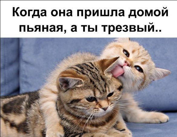 Image Hosted by PiXS.ru