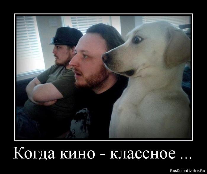 Картинки по запросу кино прикол