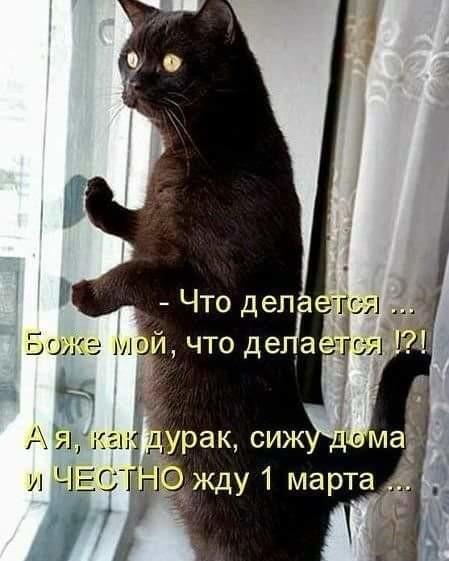 Image Hosted by PiXS.ru