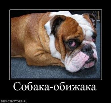 Image Hosted by PiXS.ru