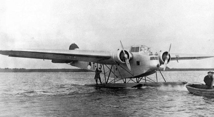 Картинки по запросу Fokker T.IV