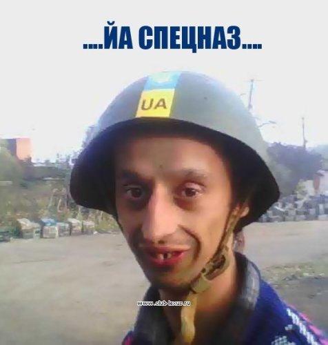 Бесплатный хостинг для хранения фотографий