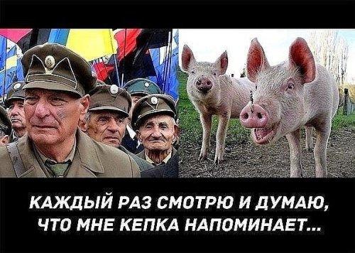 фотохостинг без регистрации