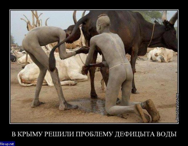 Загрузить фото бесплатно