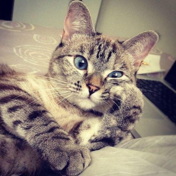 Картинки по запросу картинка Слушаю вас