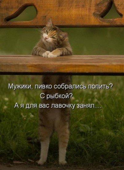 Image Hosted by PiXS.ru