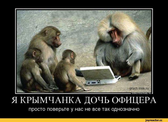 Image Hosted by PiXS.ru