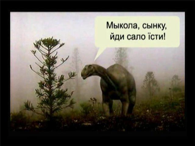 Image Hosted by PiXS.ru