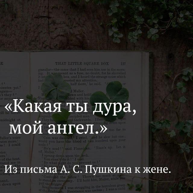 Image Hosted by PiXS.ru