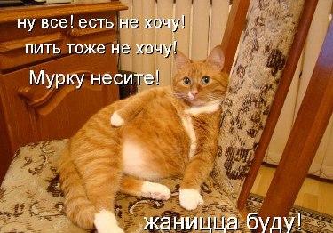 Image Hosted by PiXS.ru