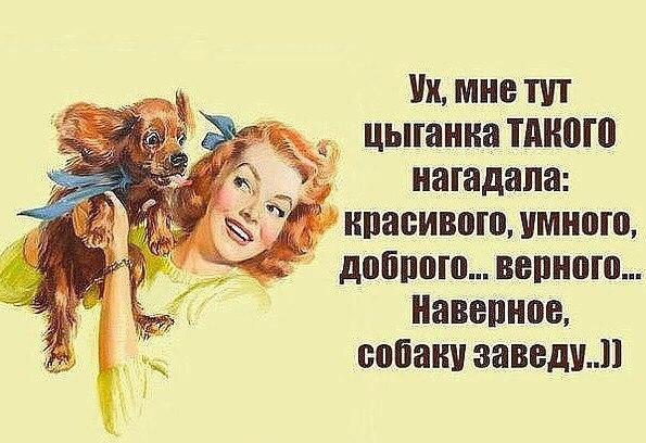 Image Hosted by PiXS.ru