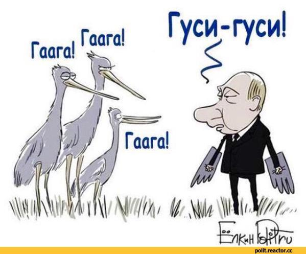 ﻿- , Гаага' ГуСИ-ГуСИ! Гаага! <С Гаага! щик' к № I,Острый Перец,политика,песочница политоты,пуйло,гуси