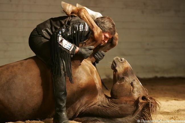 Картинки по запросу невзоров с лошадьми