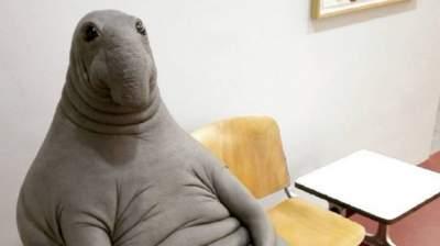 Картинки по запросу блоггер прикол