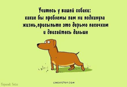 Image Hosted by PiXS.ru