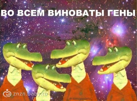Картинки по запросу во всем виноваты гены