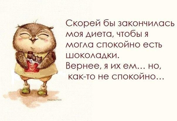 Картинки по запросу похудение приколы