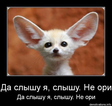 Похожее изображение