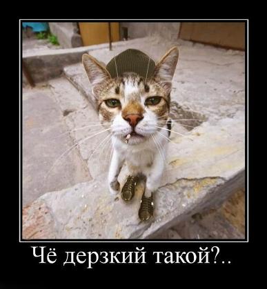 Image Hosted by PiXS.ru