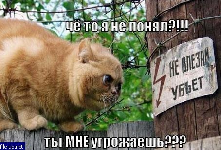 Загрузить фото бесплатно