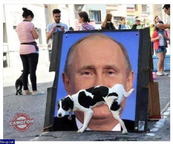 Загрузить фото бесплатно
