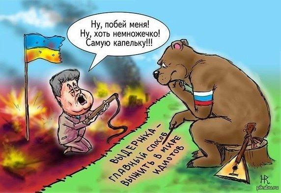 Картинки по запросу медведь против Порошенко