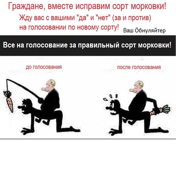Выборы в россии что ожидать. До выборов после выборов картинка. Карикатуры на до выборов и после выборов. Смешная картинка после выборов.
