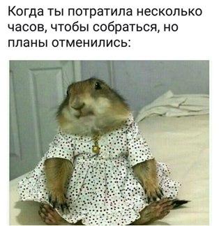 Image Hosted by PiXS.ru