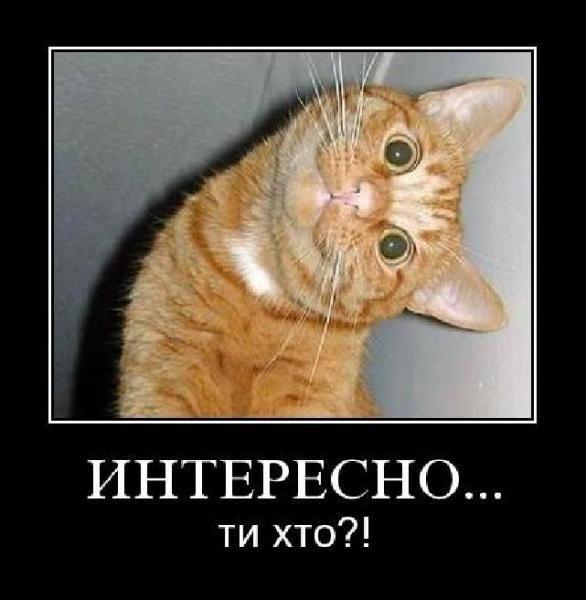 Image Hosted by PiXS.ru