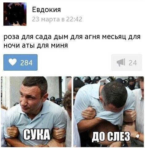 Похожее изображение