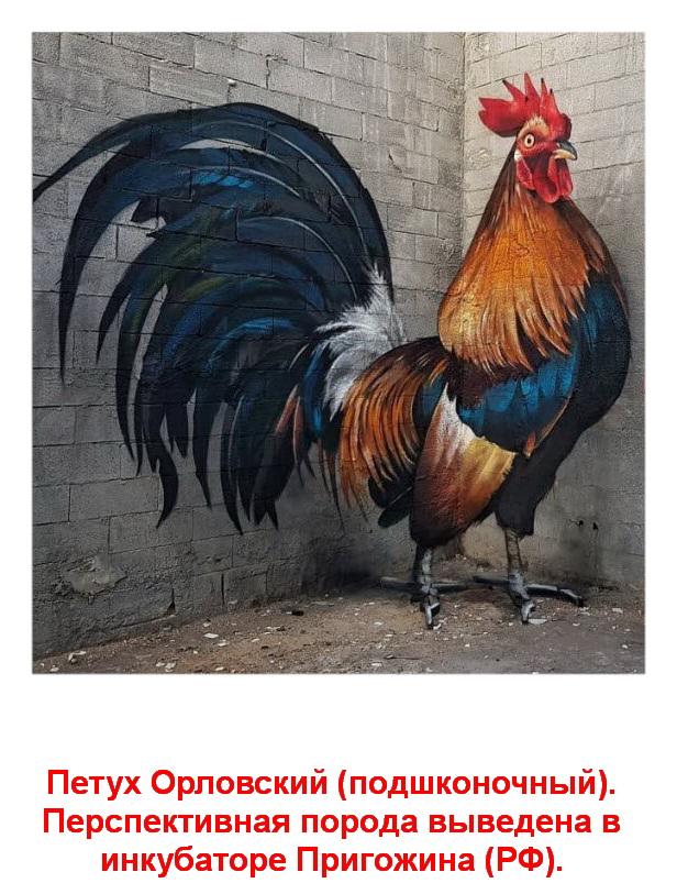 Фотохостинг