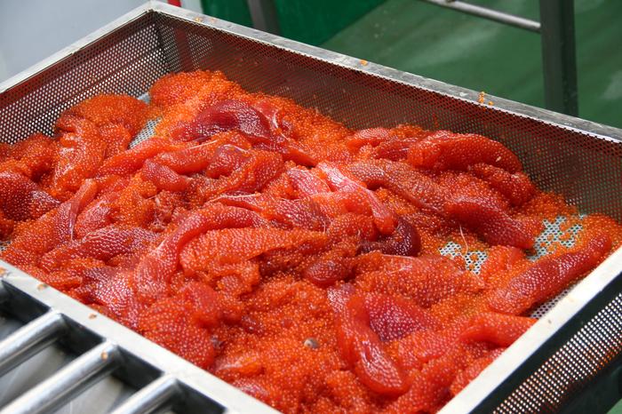 Икра в цеху Белрыбы.