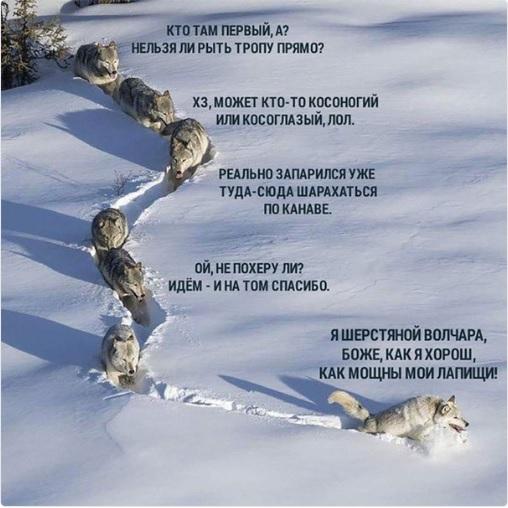 Image Hosted by PiXS.ru