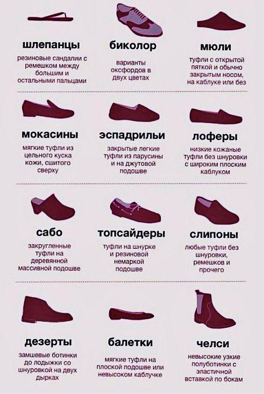 Картинки по запросу "виды обуви""