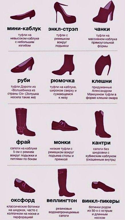 Виды обуви. Какая бывает обувь? Все названия обуви - Блоги мастеров ДвеРуки.ру