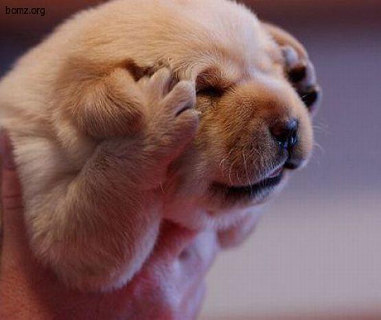 Image Hosted by PiXS.ru