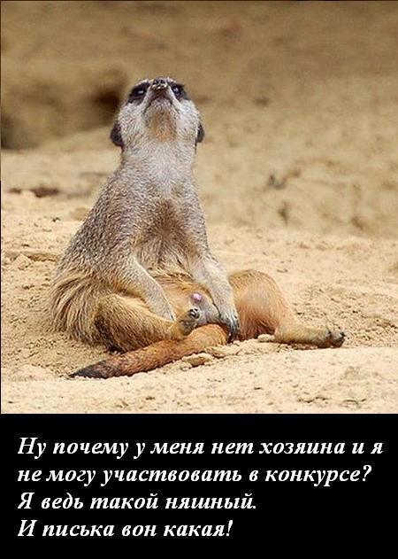 Image Hosted by PiXS.ru