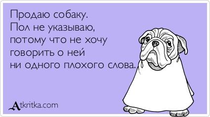 Картинки по запросу пол не указываю