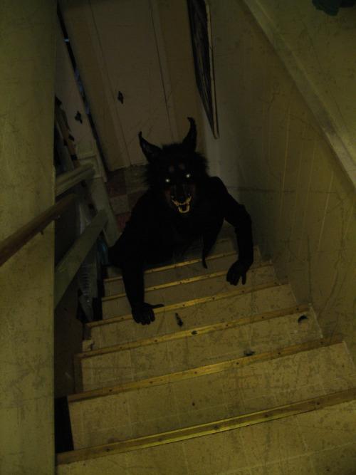 halloween pictures