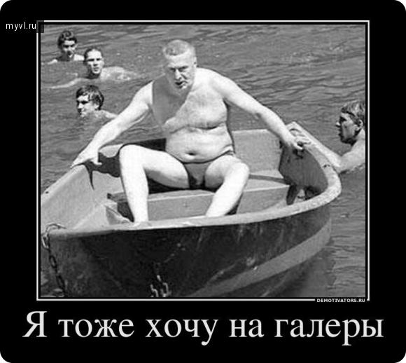 Картинки по запросу Жириновский на галерах