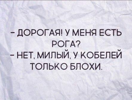 Image Hosted by PiXS.ru