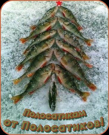 Image Hosted by PiXS.ru