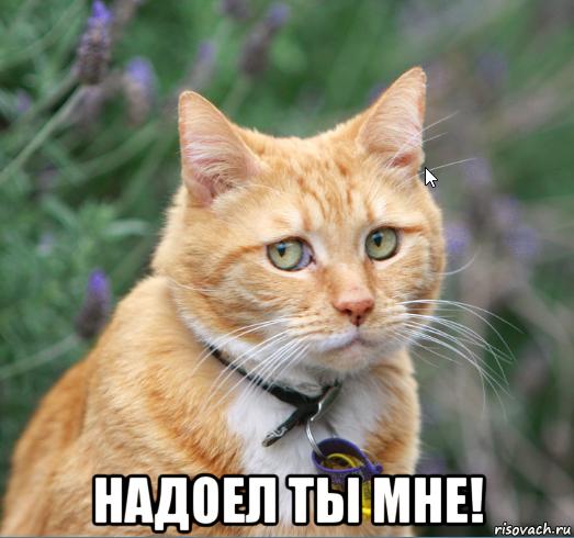 Image Hosted by PiXS.ru