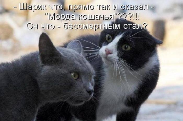 Image Hosted by PiXS.ru