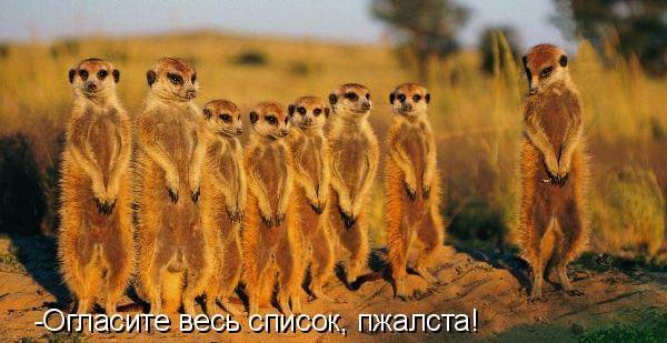 Image Hosted by PiXS.ru