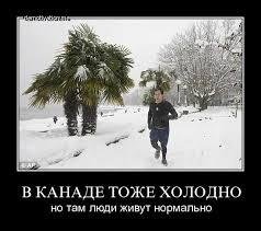 Изображение - savepic.net — сервис хранения изображений