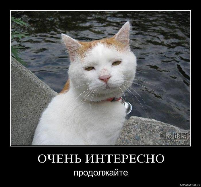 Картинки по запросу продолжайте кот